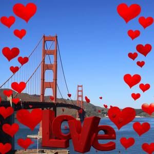 Meet your Posher, Elisa